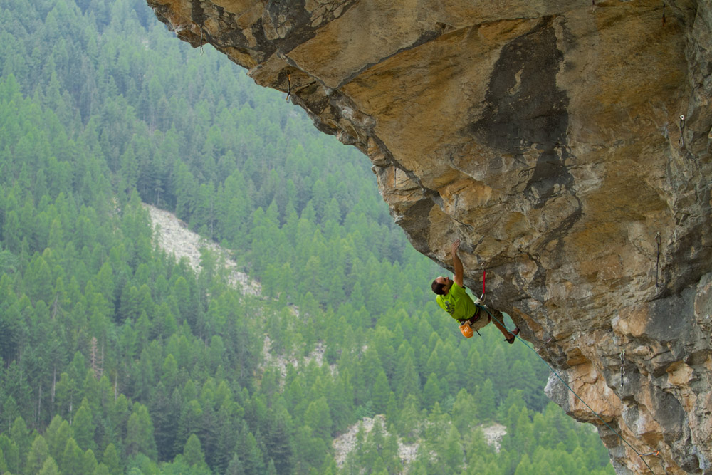Une arquee pour un criquet (4)